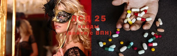 ECSTASY Абаза