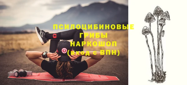 винт Сатка
