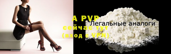 ECSTASY Абаза